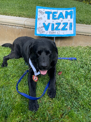 Join Vinny at the Skecher's Walk on Sunday, October 30th!